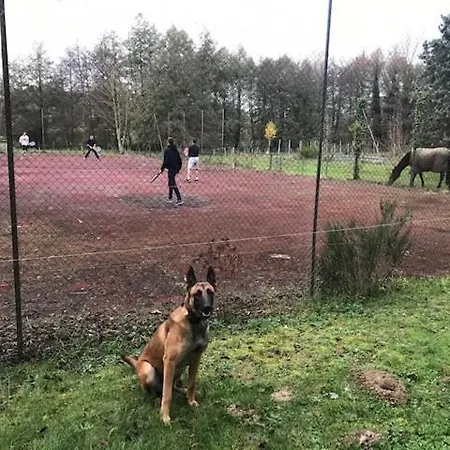 Le Moulin De Crampaux Vakantiehuis *